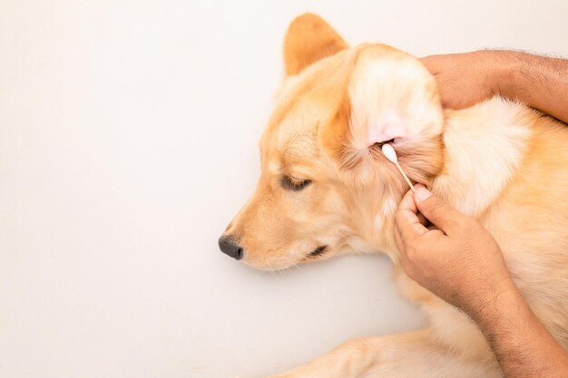 ear cleaning 